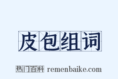 皮包组词是什么意思的图片